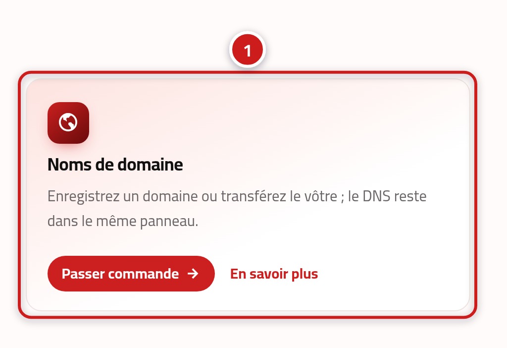 La section des services de la page d'accueil avec la carte Noms de domaine en surbrillance et marquée du numéro 1.